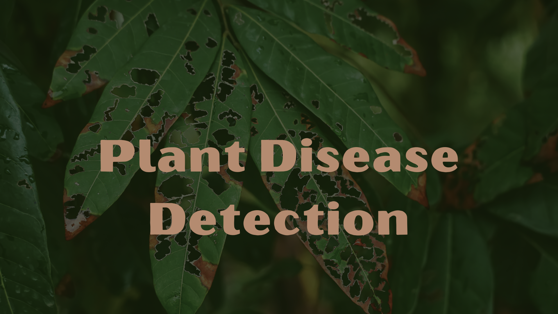 plant-diseases-detection